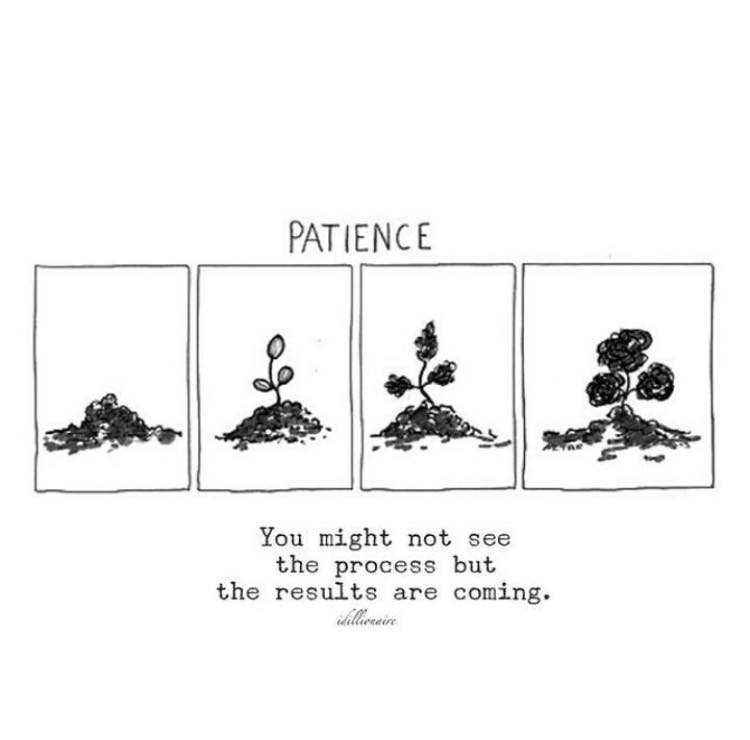 49587736_2023732987924700_2175872930854993920_n